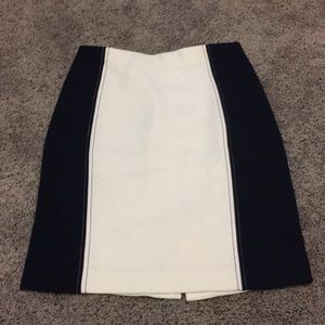 Ann Taylor Skirt